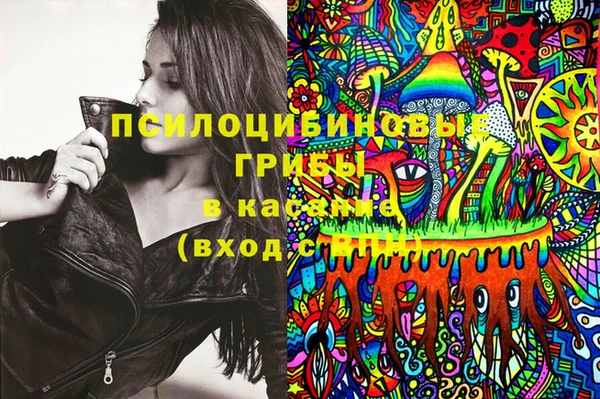твердый Верхний Тагил