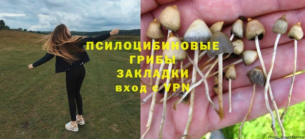 твердый Верхний Тагил