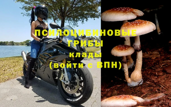 MESCALINE Богданович