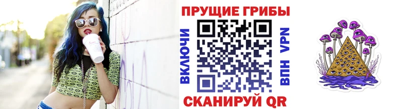купить наркотик  Заозёрск  Псилоцибиновые грибы MAGIC MUSHROOMS 